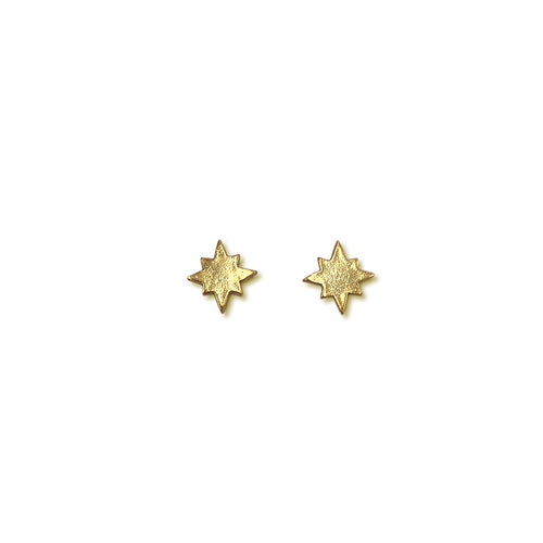 Aretes estrella del norte